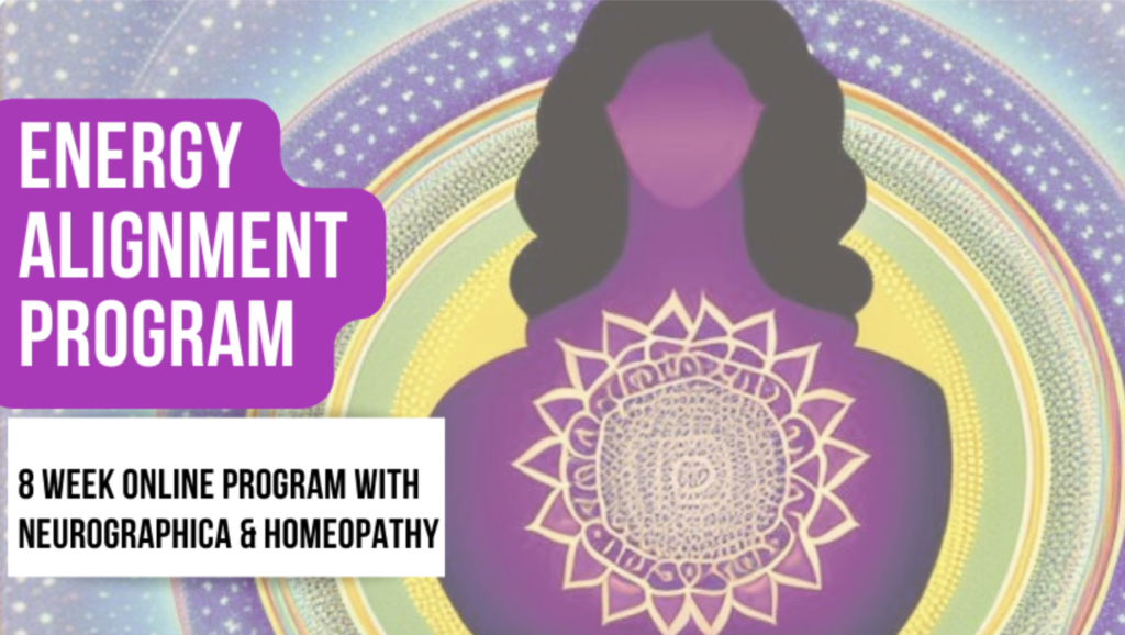 Energy Alignment Program Neurographic Academy